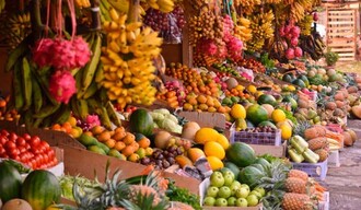 Hambre Cero: la decisión política de un país que siembra oportunidades