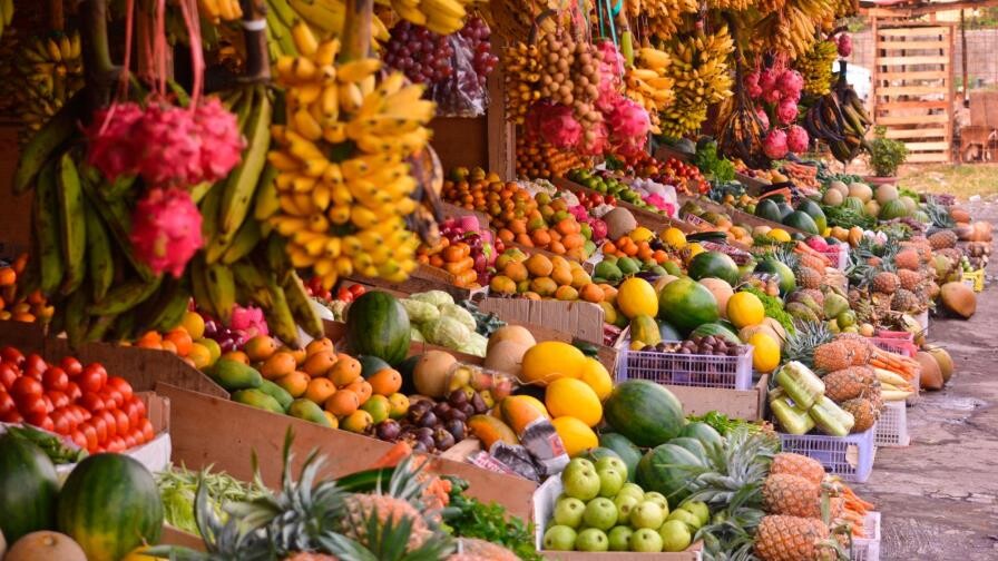 Hambre Cero: la decisión política de un país que siembra oportunidades