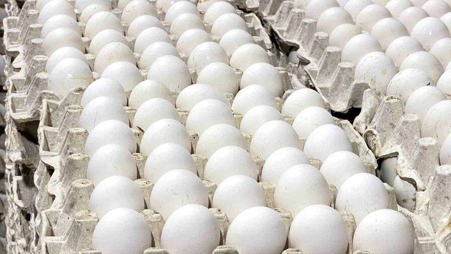 RD reanuda las exportaciones de huevos a Cuba y envía más de 3.9 millones de unidades RD reanuda las exportaciones de huevos a Cuba y envía más de 3.9 millones de unidades