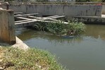 Recuperan cadáver de un hombre en canal de riego Ulises Francisco Espaillat en Santiago Recuperan cadáver de un hombre en canal de riego Ulises Francisco Espaillat en Santiago