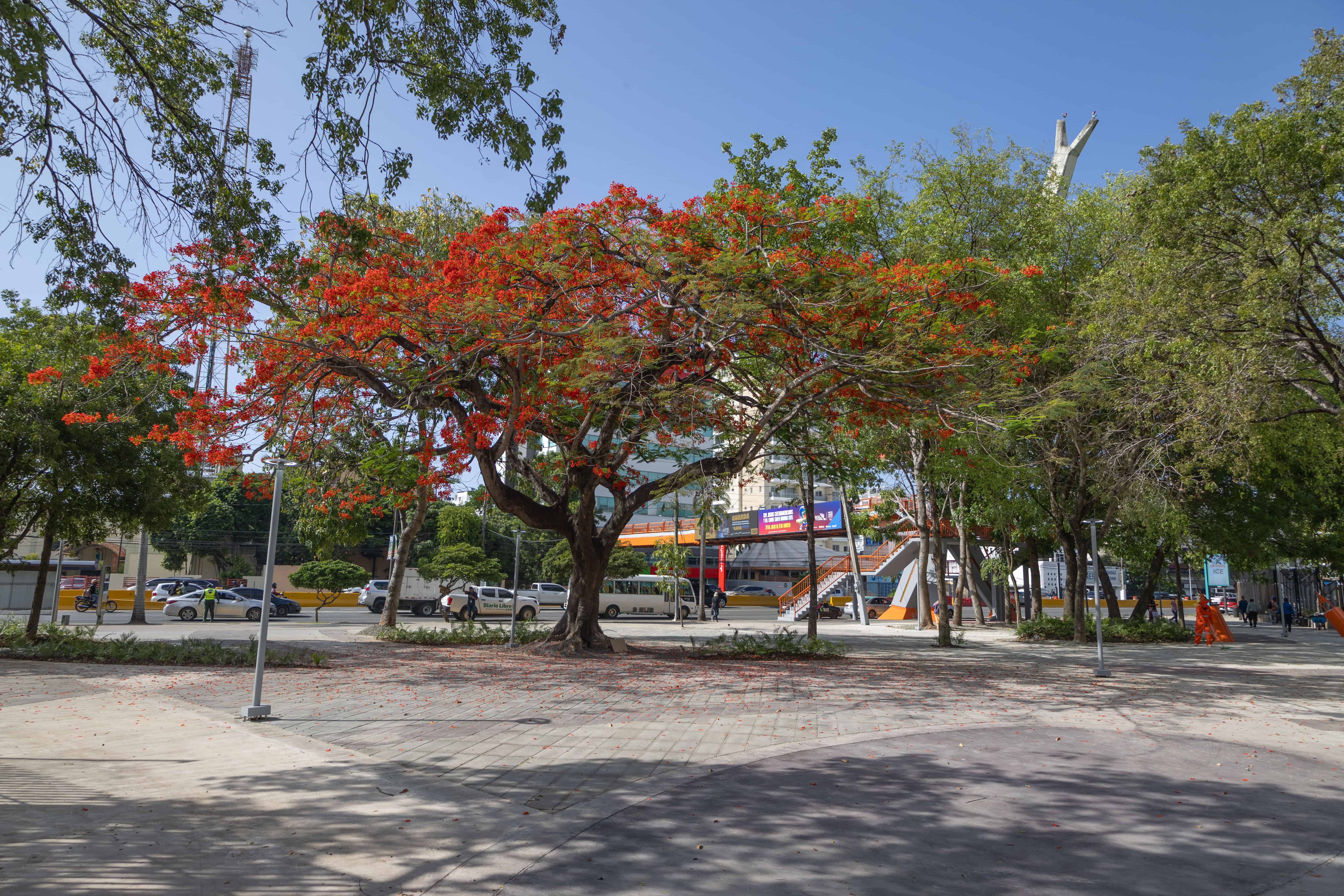 Los alrededores del Centro Olímpico fueron remozados.