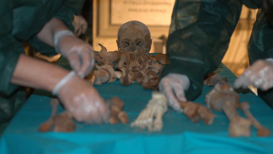 ¿Murió envenenado Francisco de Medici? La genética reescribe un misterio renacentista