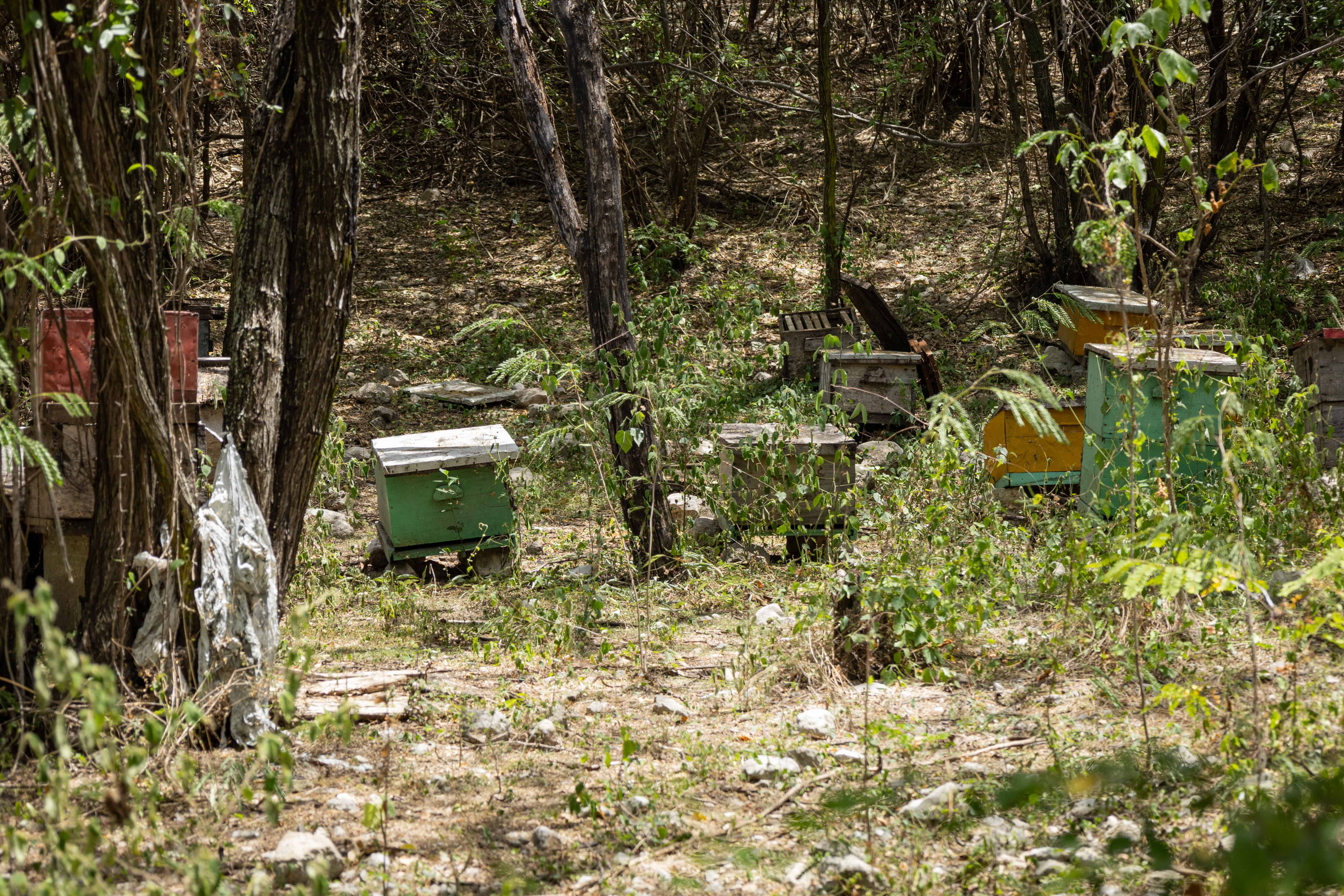 Apiario en el bosque seco del parque.&nbsp;