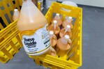 Del cascarón al galón, así crece la industria del huevo pasteurizado en RD Del cascarón al galón, así crece la industria del huevo pasteurizado en RD