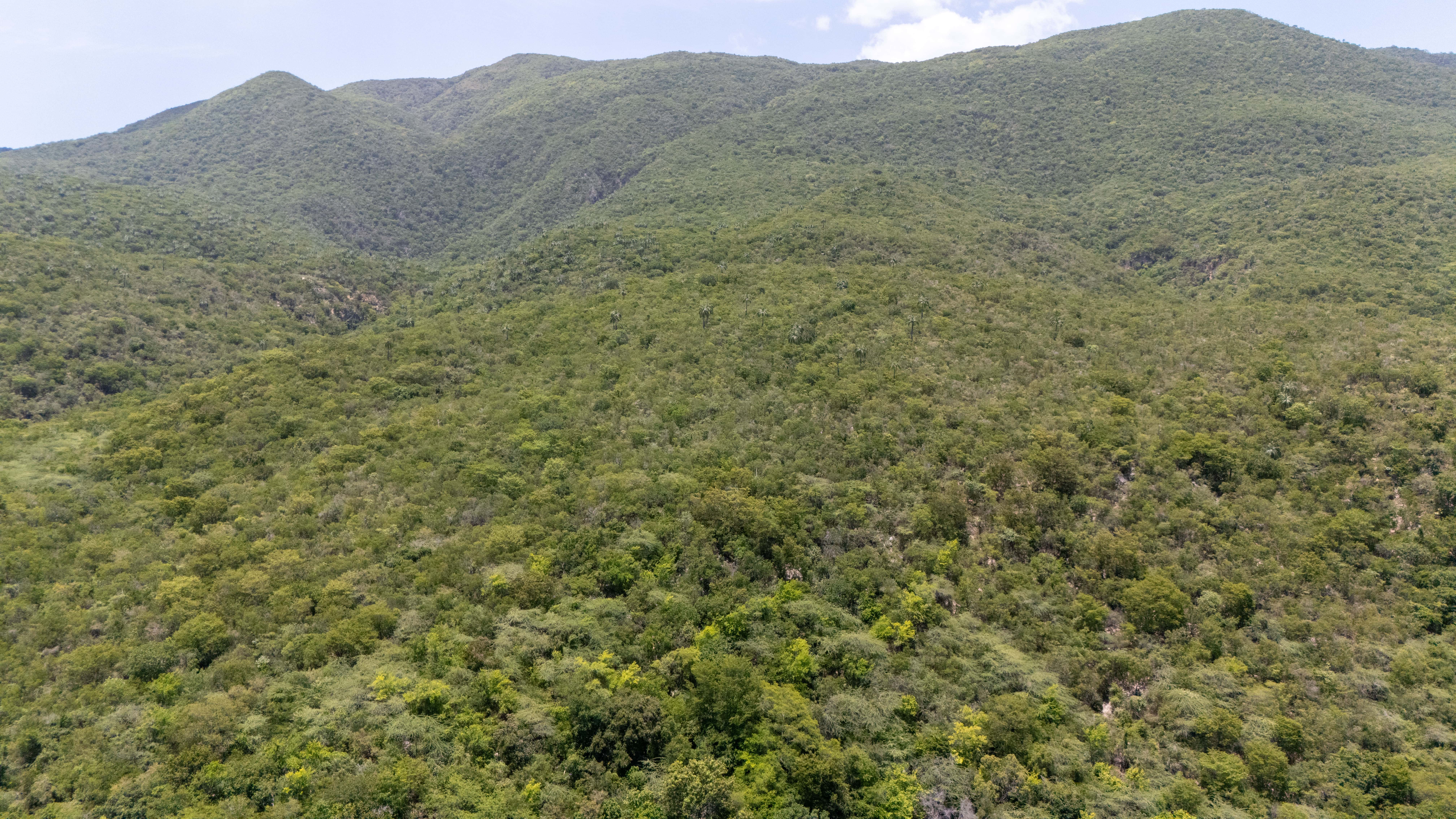 Vista aérea del parque.&nbsp;