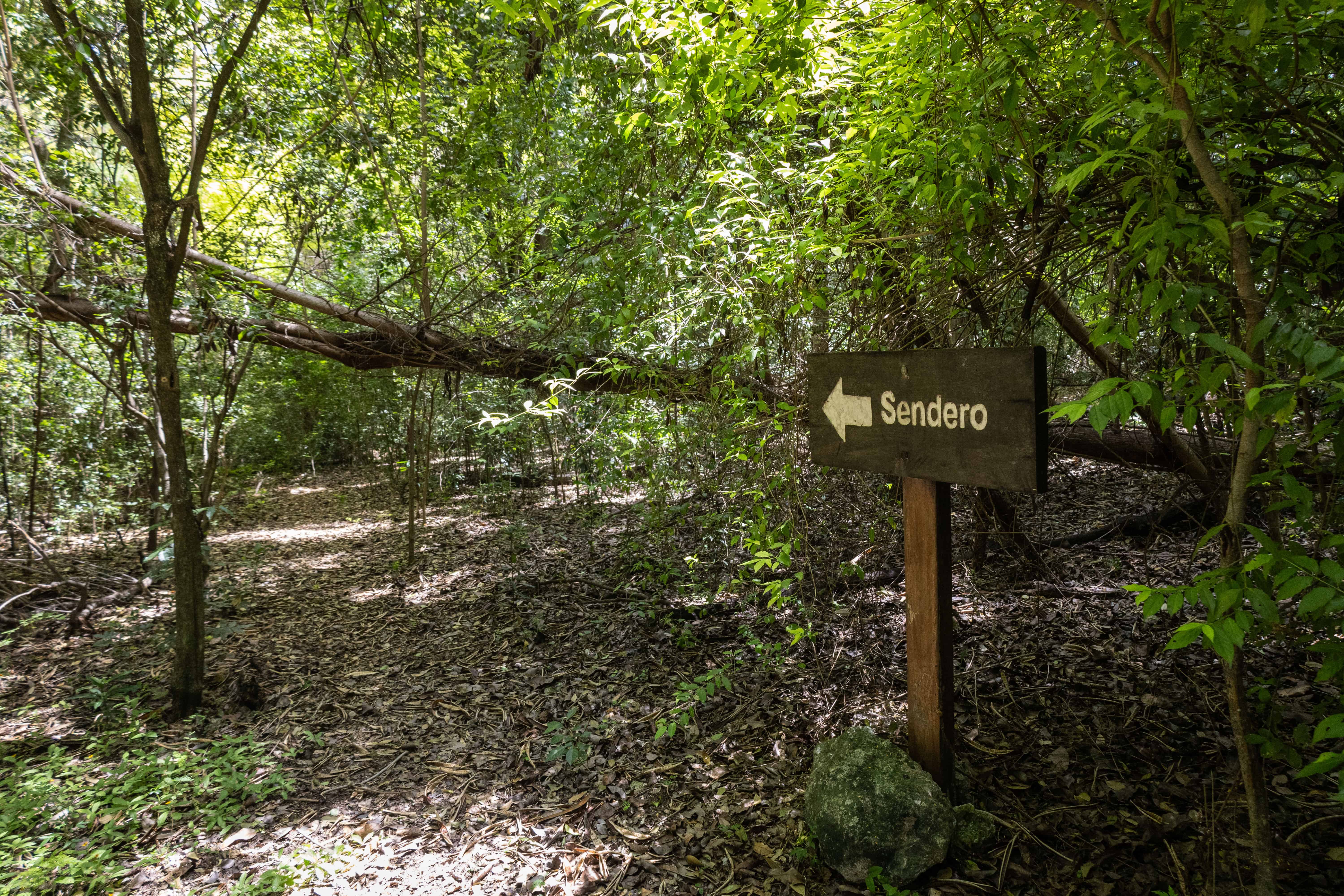 Uno de los senderos del parque.&nbsp;