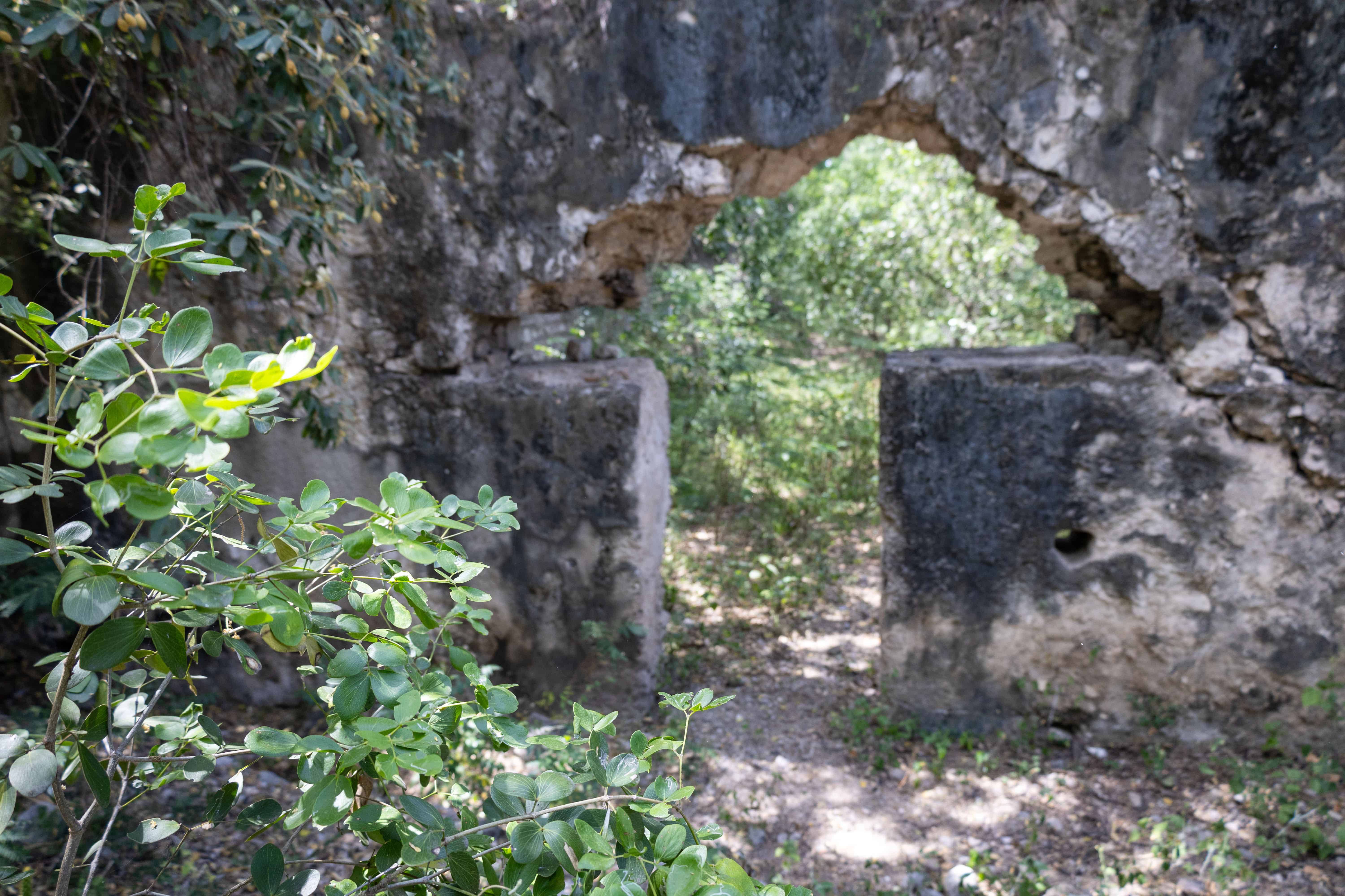 Ruinas del ingenio Cepi-Cepi
