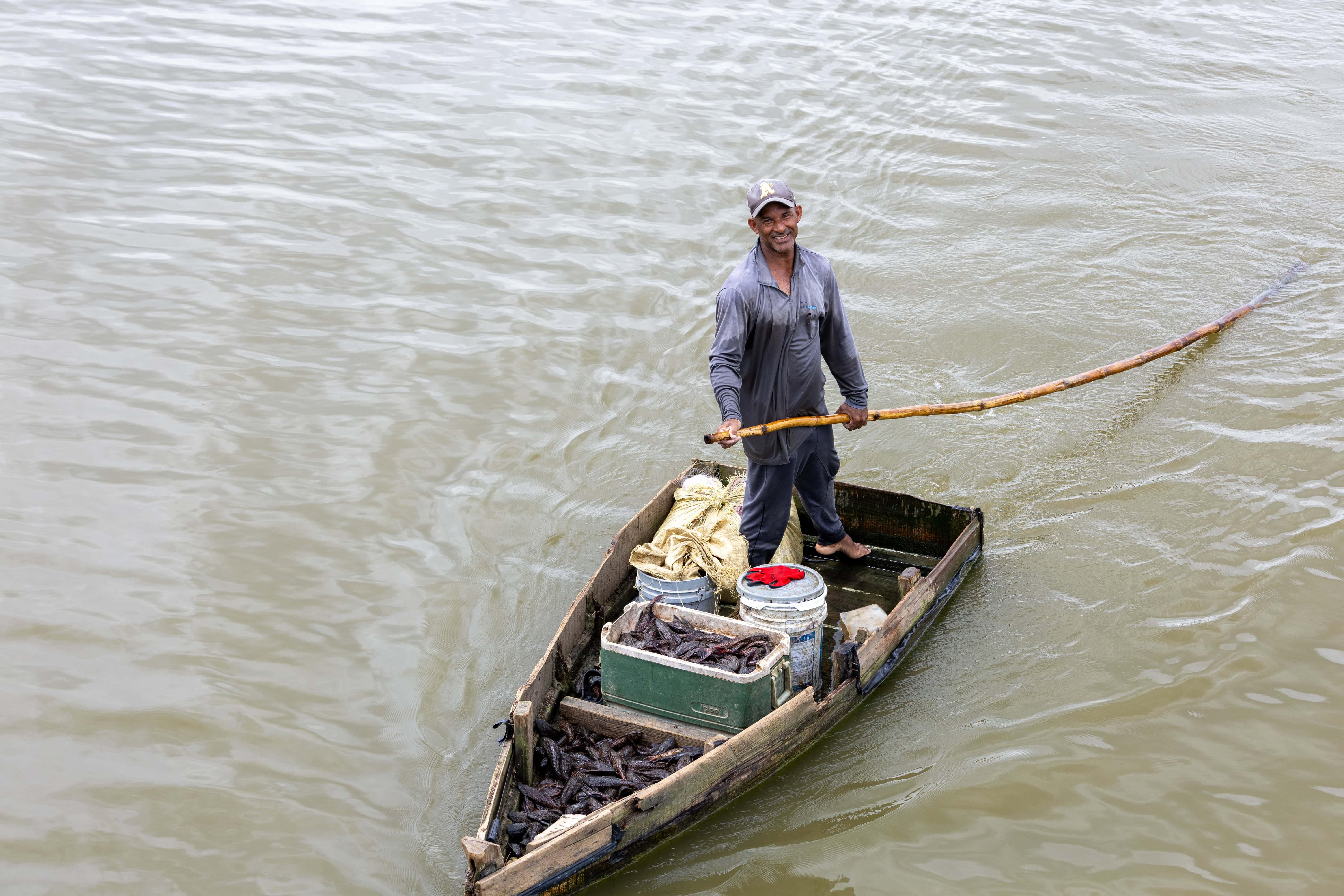 El proceso inicia en la laguna. Los pescadores separan los peces que pueden comercializar del pez diablo.&nbsp;