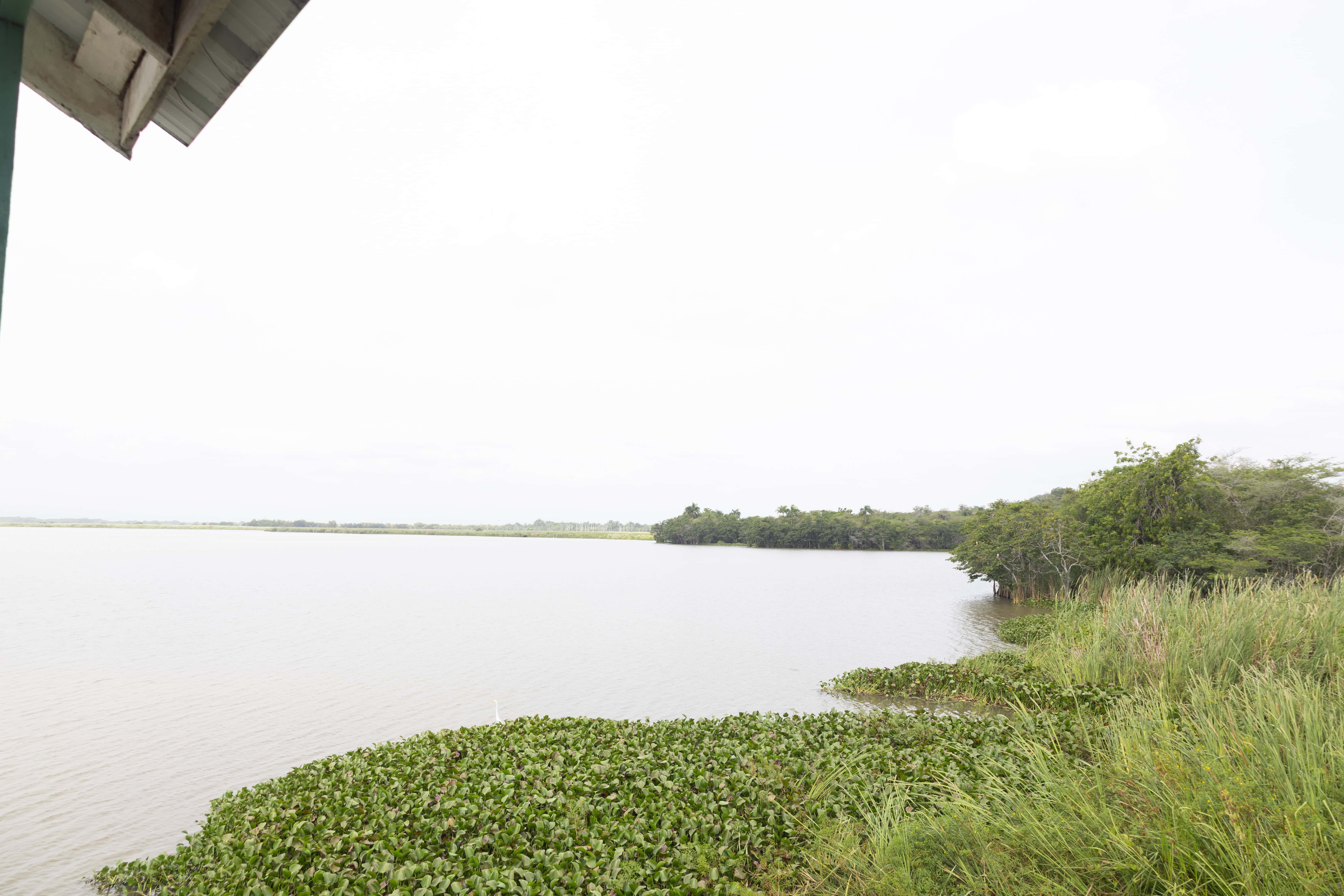 El Refugio de Vida Silvestre Laguna Saladilla se sitúa en el noroeste del país, Montecristi. Formaba parte del desaparecido parque nacional que llevaba el nombre de la provincia.&nbsp;