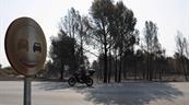 OMM: el cambio climático aumenta el riesgo de incendios, aunque no sea el único factor