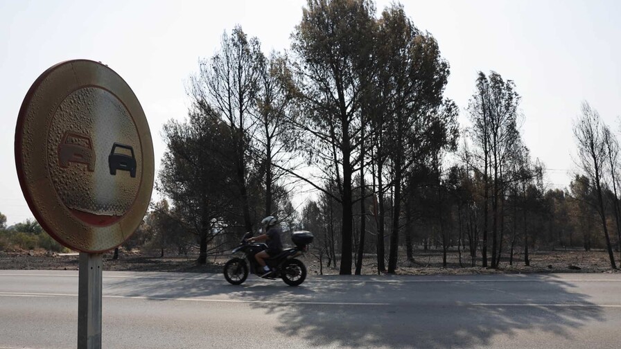 OMM: el cambio climático aumenta el riesgo de incendios, aunque no sea el único factor