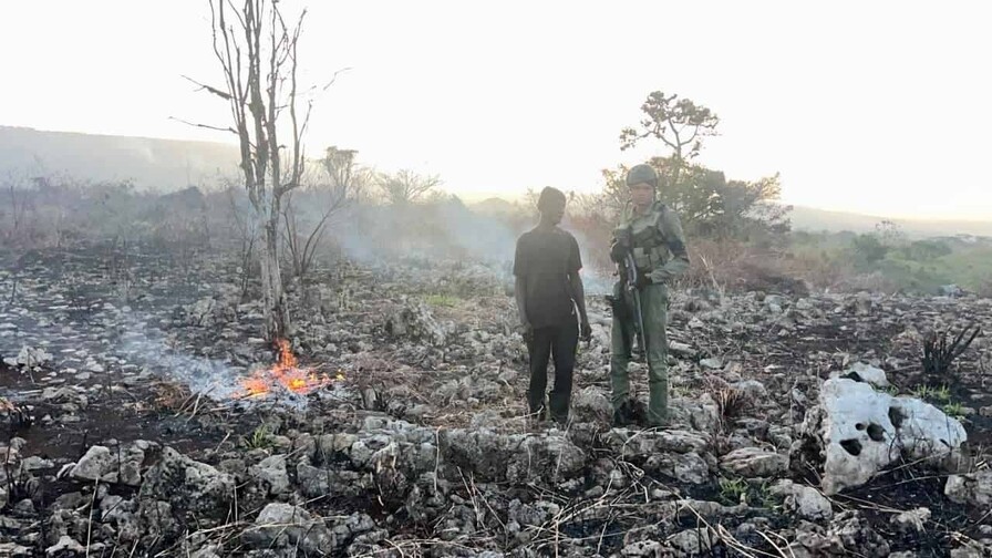 Autoridades despliegan operativos para prevenir nuevos incendios forestales Autoridades despliegan operativos para prevenir nuevos incendios forestales