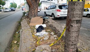 Un hombre y una niña mueren tras ser embestidos por una camioneta en el sector Los Ríos