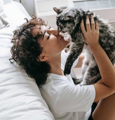 Por qué el 8 de agosto se celebra el Día Internacional del Gato