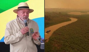 La deforestación en la Amazonía brasileña registró un nuevo récord mínimo
