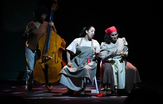 Bienvenido el extraño: un drama teatral que explora la salud mental