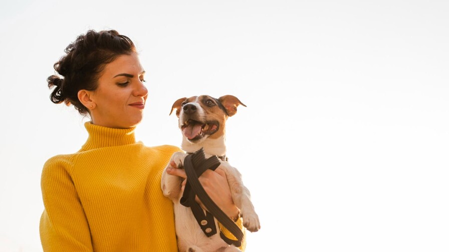 Los perros pueden distinguir entre el miedo y la tristeza en los rostros humanos