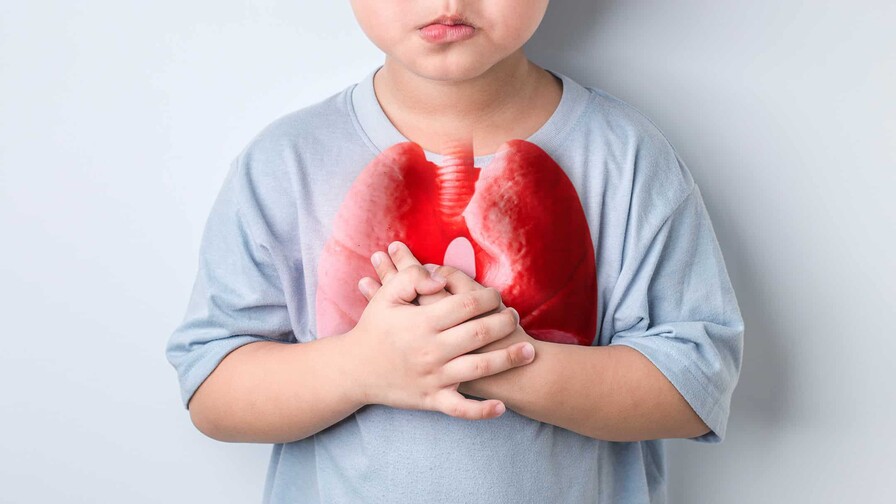 El aire que respiran nuestros niños y envejecientes y la ecología de las enfermedades