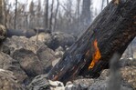 Segunda temporada de incendios arrancó con récord de fuegos