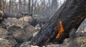 Segunda temporada de incendios arrancó con récord de fuegos