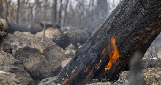 Segunda temporada de incendios arrancó con récord de fuegos