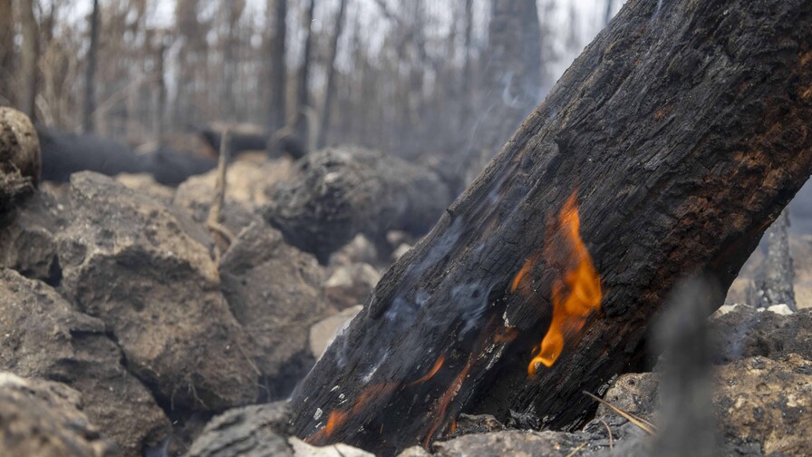 Segunda temporada de incendios arrancó con récord de fuegos