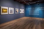 El festival PhotoImagen arranca con El Prado en el centro en el Museo Bellapart