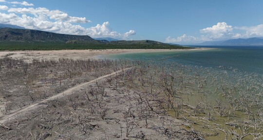 República Dominicana advierte en cumbre de desertificación sobre riesgo de sequía