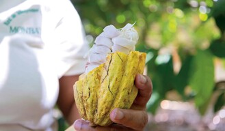 Chocolate y café made in DR