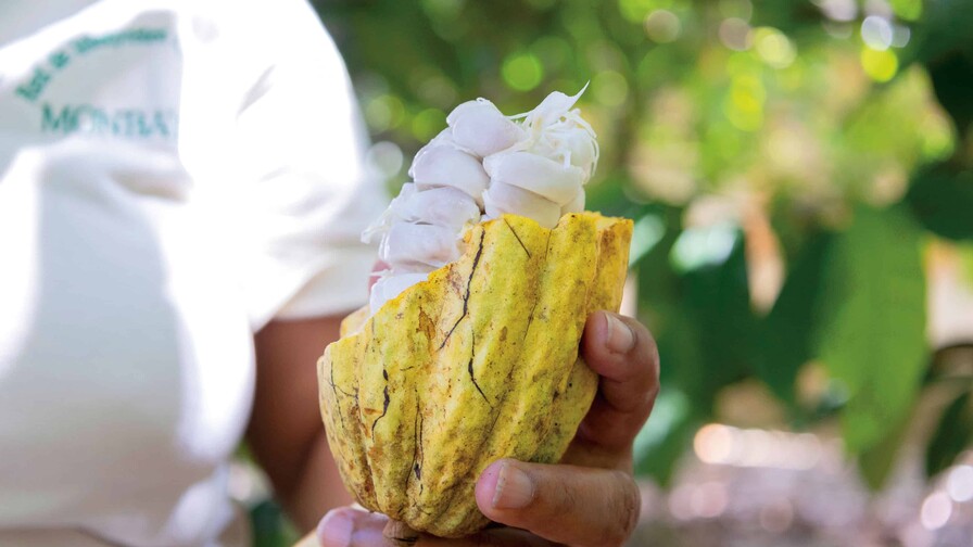 Chocolate y café made in DR