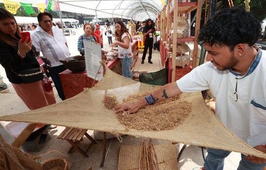 Productores de amaranto en México exhiben sus productos en defensa de su grano ancestral