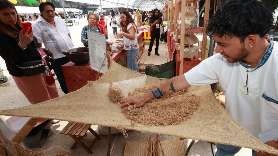 Productores de amaranto en México exhiben sus productos en defensa de su grano ancestral