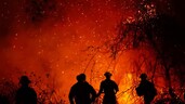 Incendios en el centro de Colombia consumen más de 20,000 hectáreas de bosques y cultivos