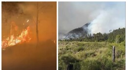 Valle Nuevo bajo fuego: brigadas forestales trabajan para contener incendio