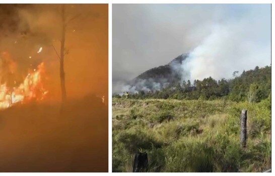 Valle Nuevo bajo fuego: brigadas forestales trabajan para contener incendio