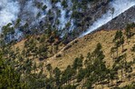 Aumento de intensidad de incendio en Valle Nuevo obliga a cerrar nuevamente el parque