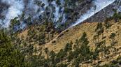 Aumento de intensidad de incendio en Valle Nuevo obliga a cerrar nuevamente el parque