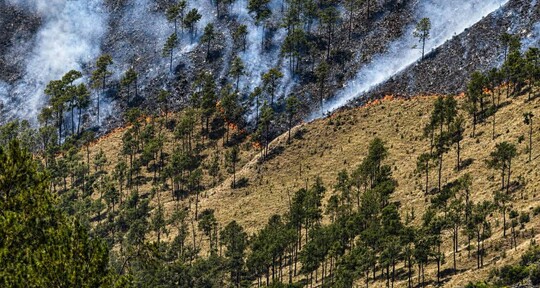 Aumento de intensidad de incendio en Valle Nuevo obliga a cerrar nuevamente el parque