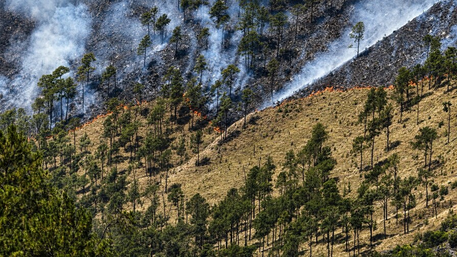 Controlan incendio forestal en Valle Nuevo tras 36 horas de labores