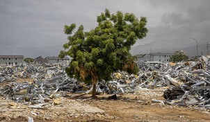 Hasta que el cuerpo aguante: los terremotos de Venezuela 60 días después