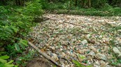 La cañada de Arroyo Manzano lleva varios meses con basura estancada
