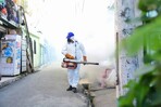 Salud Pública fumiga contra el dengue y exhorta a la población eliminar criaderos de mosquito