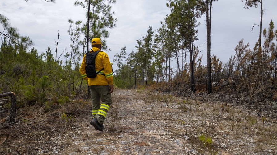 La sequía golpea al Caribe: Puerto Rico declara desastre agrícola y RD advierte sobre el déficit