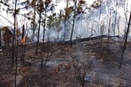 Reactivación de incendio en Valle Nuevo moviliza a 70 brigadistas