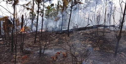 Valle Nuevo arde y la justicia aún no alcanza a los culpables