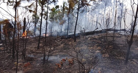 Valle Nuevo arde y la justicia aún no alcanza a los culpables