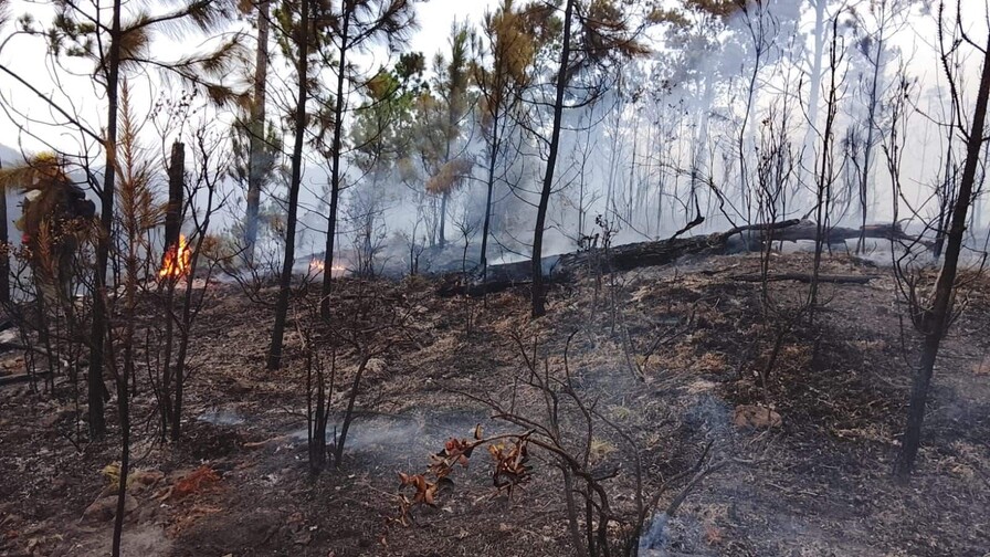 Reactivación de incendio en Valle Nuevo moviliza a 70 brigadistas