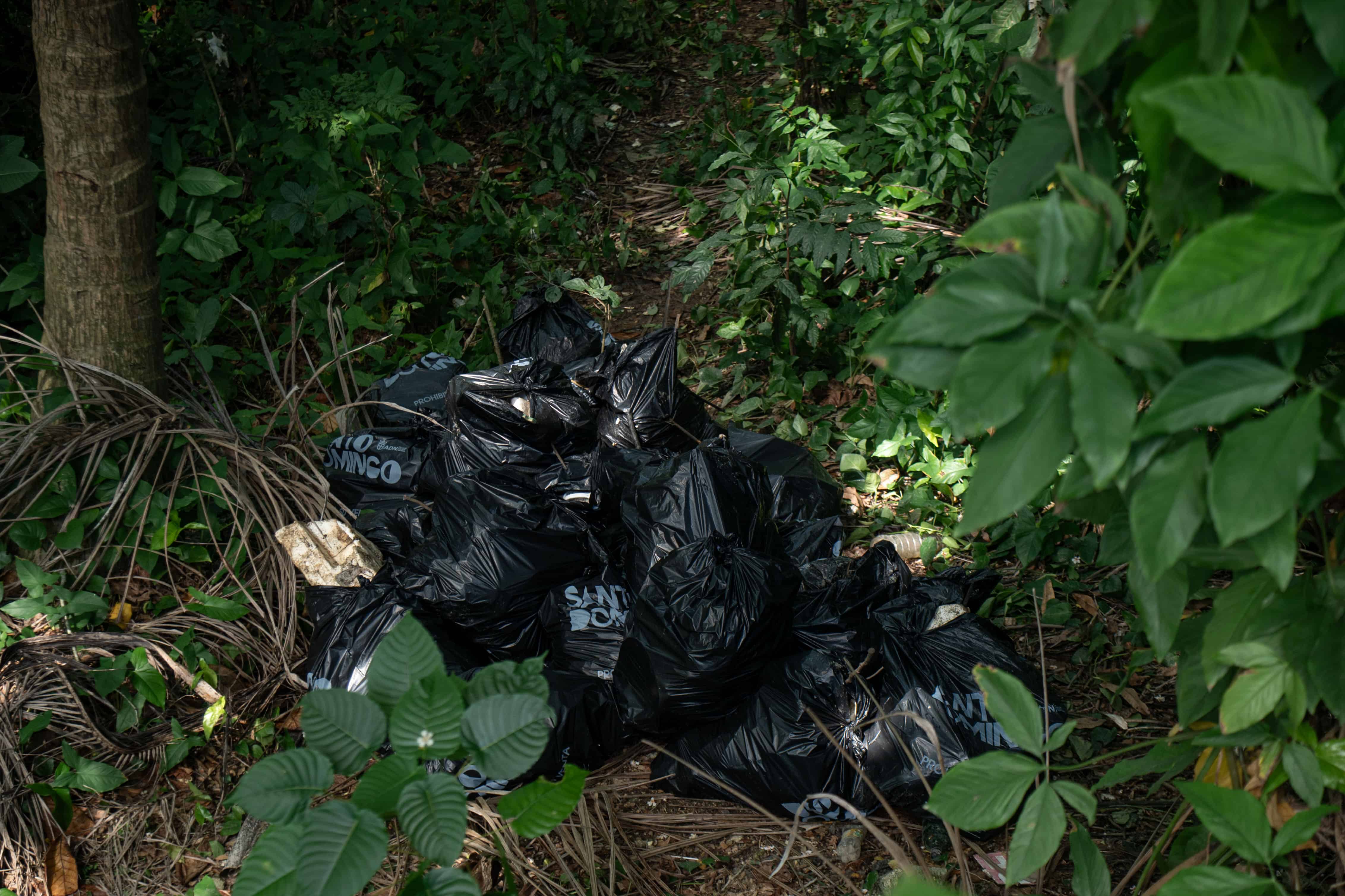 Fundas de basura sacada de la cañada