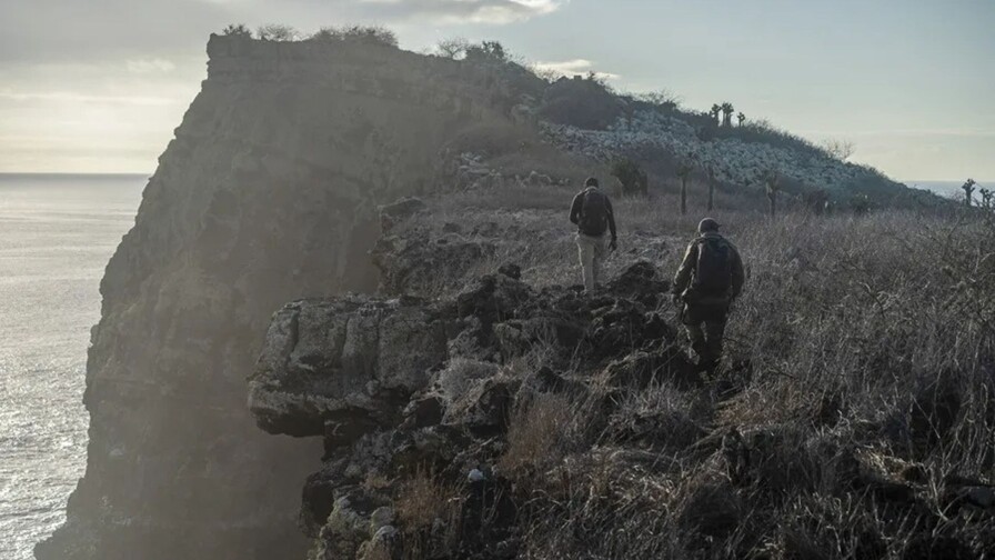 Prisión preventiva para rusa por presunto tráfico de 32 iguanas marinas de Galápagos Prisión preventiva para rusa por presunto tráfico de 32 iguanas marinas de Galápagos