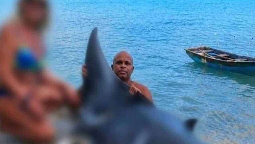 Detienen a pescador por muerte de una mantarraya en Las Terrenas Detienen a pescador por muerte de una mantarraya en Las Terrenas